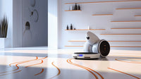 Robot Vacuum Secrets