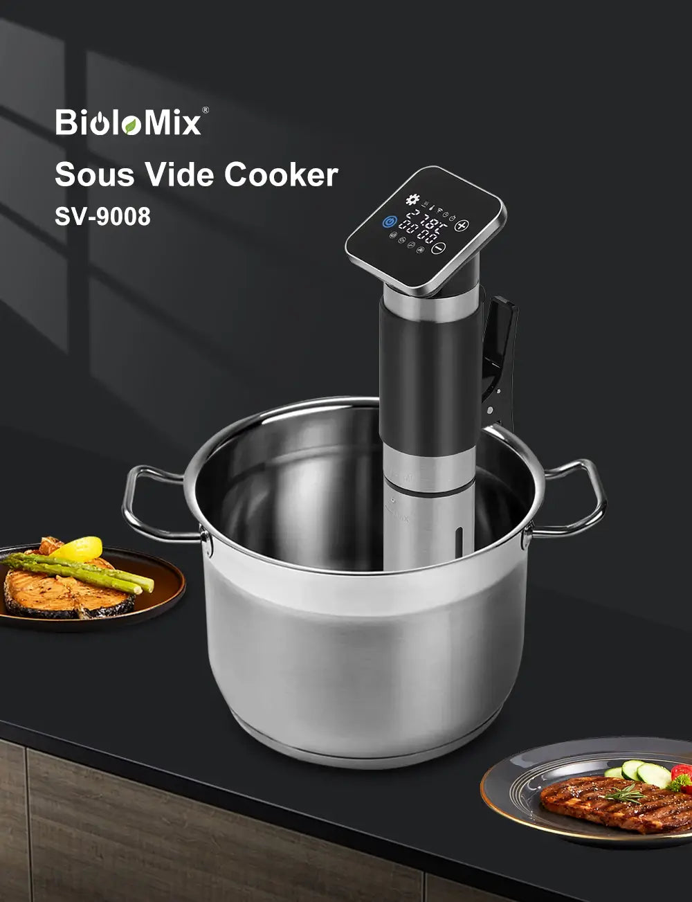 Biolomix Sous Vide Cuisinière de précision Température